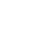 Icon Dynamism